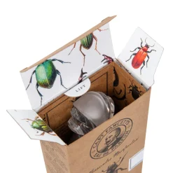 Hajuvesi Alessandro Manfredini