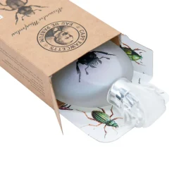 Hajuvesi Alessandro Manfredini