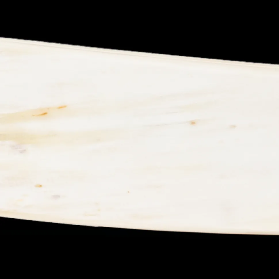 Partaveitsi Bergischer Löwe